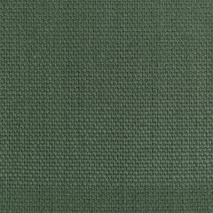 Kravet Basics Stone Harbor Grass 27591-3333  Multipurpose Fabric