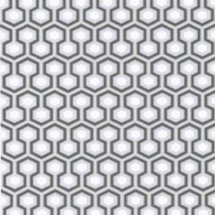 Cole and Son Hicks Hexagon Sage / Grey 66-8055 New Contemporary Collection Wall Covering