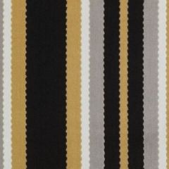 Suburban Sv16130 711-Black / Gold 276149 Indoor Upholstery Fabric