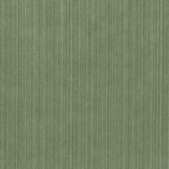 Duralee 15724 Green 2 Indoor Upholstery Fabric