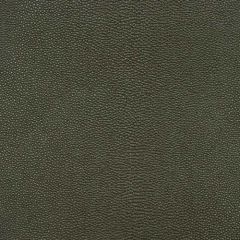 Duralee 15528 22-Olive 276723 Indoor Upholstery Fabric