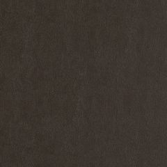 Duralee DF15775 Dark Brown 104 Indoor Upholstery Fabric