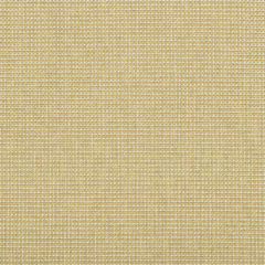 Kravet Contract Burr Lemon Drop 35745-14 Performance Kravetarmor Collection Indoor Upholstery Fabric