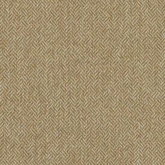 Duralee Contract DN15885 Harvest 333 Indoor Upholstery Fabric