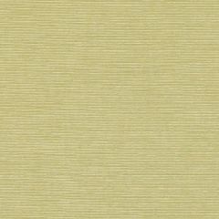 Highland Court Hu15973 677-Citron 277831 Intermix Wovens Collection Indoor Upholstery Fabric