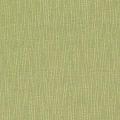Duralee Contract Dn15991 609-Wasabi 277857 Sophisticated Suite III Collection Indoor Upholstery Fabric