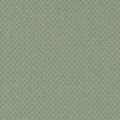 Duralee Contract Dn15993 609-Wasabi 277883 Sophisticated Suite III Collection Indoor Upholstery Fabric