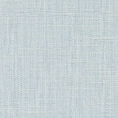 Duralee DW15935 Seafoam 28 Indoor Upholstery Fabric