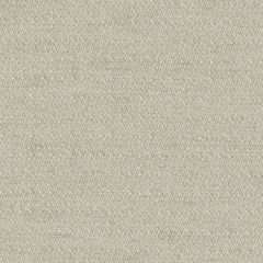 Duralee Su15950 216-Putty 279957 Indoor Upholstery Fabric