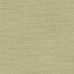 Duralee Su15950 320-Leaf 279969 Indoor Upholstery Fabric