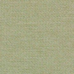 Duralee SU15950 Ivy 341 Indoor Upholstery Fabric