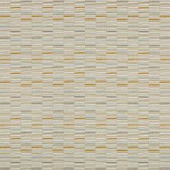 Kravet Contract Lined Up Skylight 35085-11 GIS Crypton Collection Indoor Upholstery Fabric