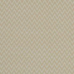 Clarke and Clarke Glacier Antique F1049-01 Patagonia Collection Multipurpose Fabric