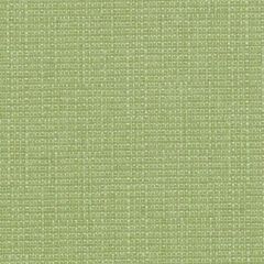 Duralee 15741 Grass 597 Indoor Upholstery Fabric