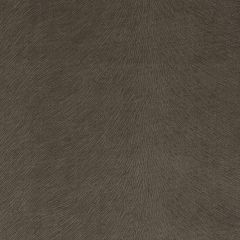 Duralee DV15938 Chinchilla 319 Indoor Upholstery Fabric