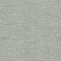 Kravet Venetian Silver 31326-11 Indoor Upholstery Fabric