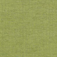 Duralee 15735 Grass 597 Indoor Upholstery Fabric