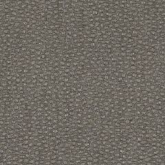 Highland Court HU15844 Chinchilla 319 Monogram Collection Indoor Upholstery Fabric
