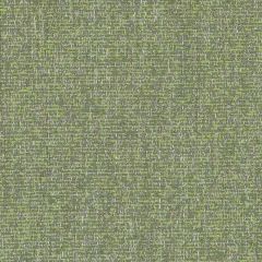 Duralee DW16015 Wasabi 609 Indoor Upholstery Fabric