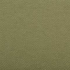 Duralee 32519 597-Grass 283337 Blaire All Purpose Collection Indoor Upholstery Fabric