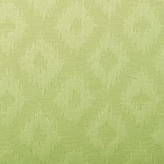 Duralee 32464 Lime 213 Indoor Upholstery Fabric