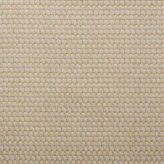 Duralee 32421 Hemp 373 Indoor Upholstery Fabric