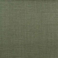 Duralee 32576 Fern 303 Indoor Upholstery Fabric