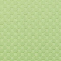 Duralee 32754 Green 2 Indoor Upholstery Fabric
