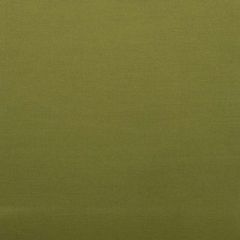 Duralee 32653 Fern 303 Indoor Upholstery Fabric