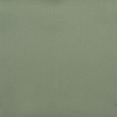 Duralee 32594 Sage 251 Indoor Upholstery Fabric