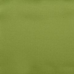 Duralee 32594 320-Leaf 284733 Indoor Upholstery Fabric