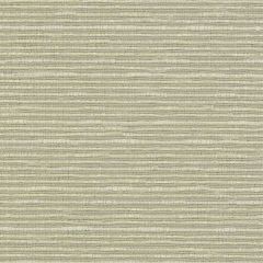 Duralee 15745 Tan 13 Indoor Upholstery Fabric