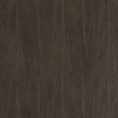 Duralee DF15783 Dark Brown 104 Indoor Upholstery Fabric