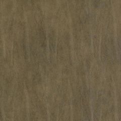 Duralee Df15783 318-Bark 285459 Indoor Upholstery Fabric