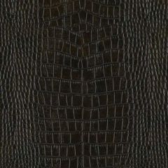 Duralee DF15796 Dark Brown 104 Indoor Upholstery Fabric
