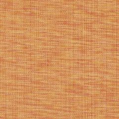 Duralee 32819 Ginger 185 Indoor Upholstery Fabric
