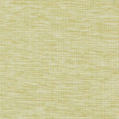 Duralee 32819 Celery 533 Indoor Upholstery Fabric