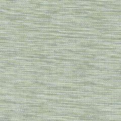Duralee 32819 Wasabi 609 Indoor Upholstery Fabric