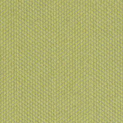 Duralee DU15917 Celery 533 Indoor Upholstery Fabric