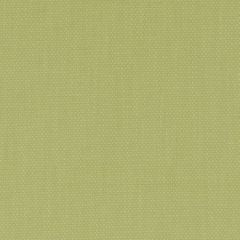 Duralee 32814 399-Pistachio 286361 Indoor Upholstery Fabric