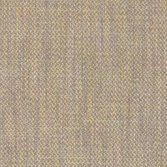 Duralee 36288 Wisteria 241 Indoor Upholstery Fabric