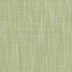 Duralee 36291 Peridot 579 Indoor Upholstery Fabric