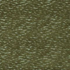 Duralee DV15966 Olive 22 Indoor Upholstery Fabric
