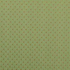 Duralee 32658 Green 2 Indoor Upholstery Fabric
