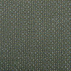 Duralee 32658 Fern 303 Indoor Upholstery Fabric