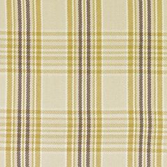 Duralee 32799 60-Natural / Gold 289421 Palmdale Collection Indoor Upholstery Fabric