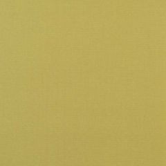 Duralee 32649 579-Peridot 289499 Indoor Upholstery Fabric