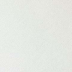 Duralee 32812 Natural 16 Indoor Upholstery Fabric