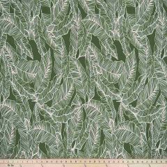 Premier Prints Pacific Herb / Polyester Serene Escape Collection Indoor-Outdoor Upholstery Fabric