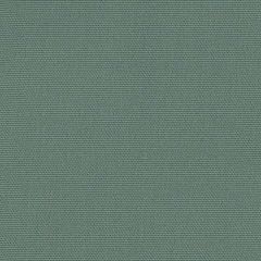 Perennials Sail Cloth Patina 680-42 Uncorked Collection Upholstery Fabric